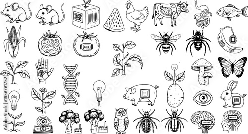 Genetically Modified Organisms: GMOs - A Black and White Illustration