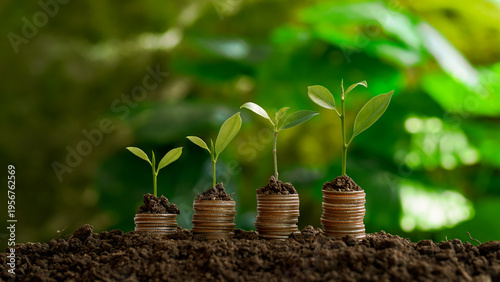 Young plants growing from stacks of coins symbolize financial growth, sustainable investment, and long-term wealth development.