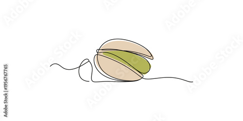 Continuous line drawing of a macadamia nut with green kernel illustration food healthy snack beige