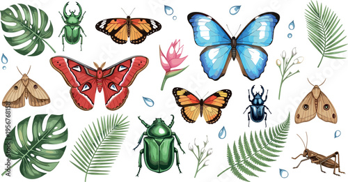 Butterflies beetles moths and tropical leaves vector collection featuring colorful insects botanical elements for nature design illustration set