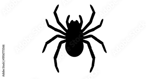 spider, arachnid, spiders, insect, bug, creepy, crawl, crawling, legs, eight, web, webbing, halloween, scary, fear, horror, dark, black, silhouette, silhouettes, shadow, shape, outline, icon, icons, s
