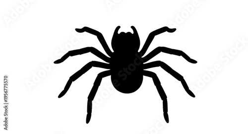 spiders, spider, arachnid, insect, bug, creepy, crawl, crawling, legs, eight, web, webbing, halloween, scary, fear, horror, dark, black, silhouette, silhouettes, shadow, shape, outline, icon, icons, s