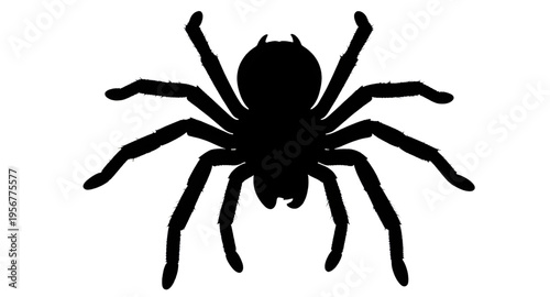 spiders, spider, arachnid, insect, bug, creepy, crawl, crawling, legs, eight, web, webbing, halloween, scary, fear, horror, dark, black, silhouette, silhouettes, shadow, shape, outline, icon, icons, s