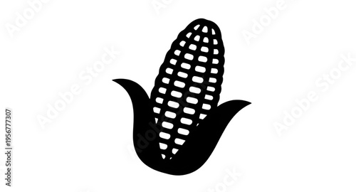 corn, cob, maize, ear, kernel, kernels, husk, leaf, leaves, plant, crop, agriculture, farm, farming, harvest, food, vegetable, fresh, organic, natural, yellow, green, rural, field, grain, cereal, nutr
