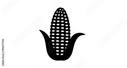 corn, cob, maize, ear, kernel, kernels, husk, leaf, leaves, plant, crop, agriculture, farm, farming, harvest, food, vegetable, fresh, organic, natural, yellow, green, rural, field, grain, cereal, nutr