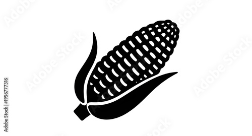 maize, corn, cob, ear, kernel, kernels, husk, leaf, leaves, plant, crop, agriculture, farm, farming, harvest, food, vegetable, fresh, organic, natural, yellow, green, rural, field, grain, cereal, nutr