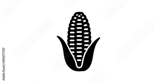 maize, corn, cob, ear, kernel, kernels, husk, leaf, leaves, plant, crop, agriculture, farm, farming, harvest, food, vegetable, fresh, organic, natural, yellow, green, rural, field, grain, cereal, nutr