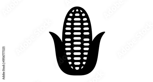 corn, maize, cob, ear, kernel, kernels, husk, leaf, leaves, plant, crop, agriculture, farm, farming, harvest, food, vegetable, fresh, organic, natural, yellow, green, rural, field, grain, cereal, nutr