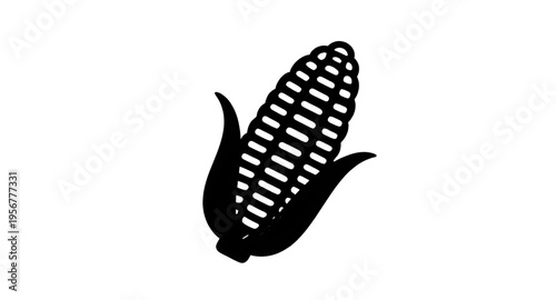 corn, maize, cob, ear, kernel, kernels, husk, leaf, leaves, plant, crop, agriculture, farm, farming, harvest, food, vegetable, fresh, organic, natural, yellow, green, rural, field, grain, cereal, nutr