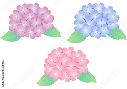 梅雨を彩るあじさいの花と葉のシンプル装飾ベクター素材｜紫陽花 植物 フラワー 背景