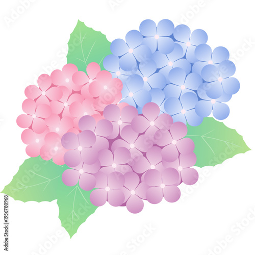 梅雨を彩るあじさいの花と葉のシンプル装飾ベクター素材｜紫陽花 植物 フラワー 背景