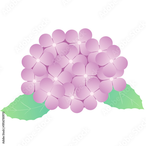 梅雨を彩るあじさいの花と葉のシンプル装飾ベクター素材｜紫陽花 植物 フラワー 背景