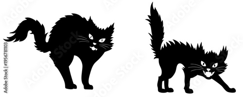 Scared black cat silhouette set with arched back and raised fur, hissing angry feline in defensive pose, Halloween frightened cat with sharp claws and tense posture