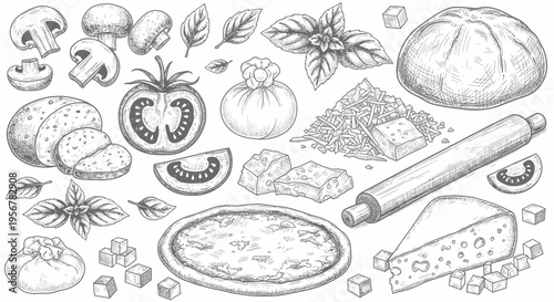 Fresh Pizza Ingredients Sketch: Dough, Tomato, Mushrooms, Basil, Cheese, Rolling Pin