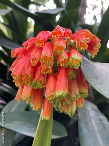 cactus and flower