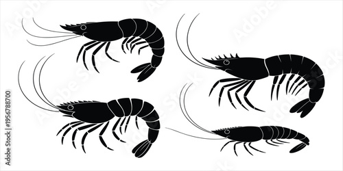 Four Black Silhouette Shrimp Illustrations on White Background prawn seafood