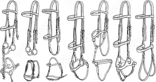 Detailed line art illustration set showcasing various horse bridles and equestrian tack types, including snaffle, double bridles, bits, and different nosebands.
