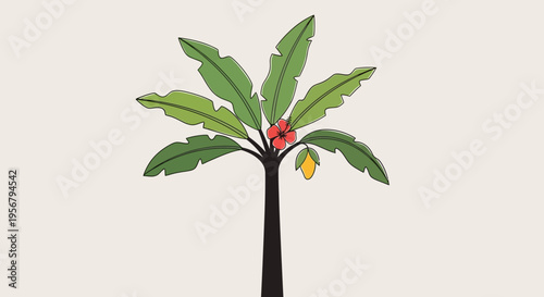 Palm tree with green leaves.