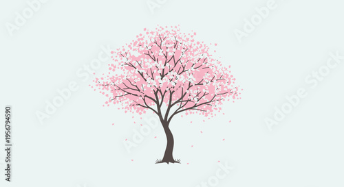 Pink Flowering Tree in Full Bloom.