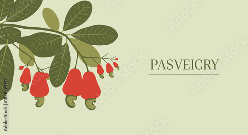 Rowan Berries on Green Branch.