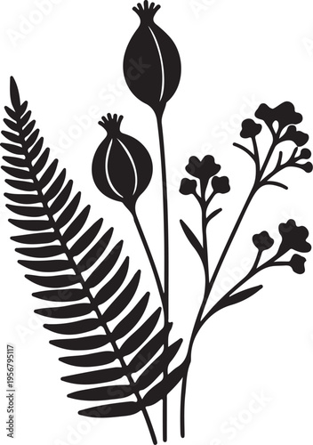 A minimalist black silhouette illustration showcasing a fern frond, two poppy seed pods, and a sprig of tiny flowers.
