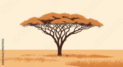 Tree in desert landscape with branches.