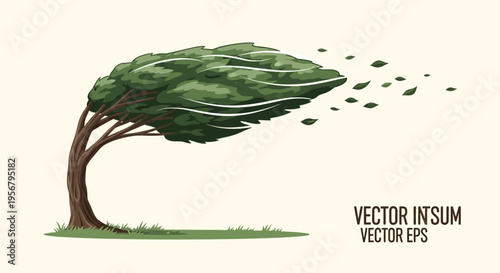 Tree Losing Leaves in Wind Storm.