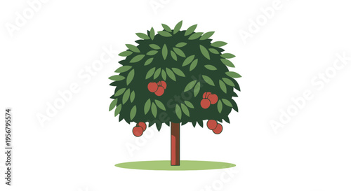 Tree with green leaves and apples 2.