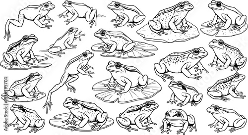 Detailed Black and White Frog Illustrations: A Collection of Amphibian Line Art Drawings in Various Poses, Sitting, Jumping, and Resting on Lily Pads and Rocks, for Nature and Wildlife Designs.