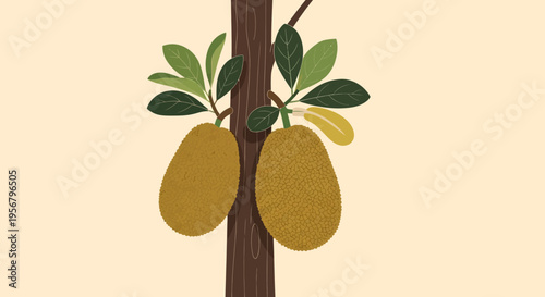 Two Yellow Pears on Tree Branch.