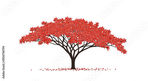 Vibrant Red Tree with Branches.
