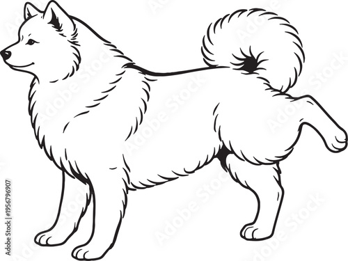 Samoyed Marking Territory Leg Lift Black and White Line Art Illustration
