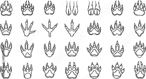 Detailed Vector Outline Set of Diverse Animal Paw Prints and Tracks, Including Mammals, Birds, and Reptiles, for Wildlife and Nature Design
