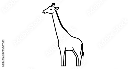 Simple black and white line art illustration of a standing giraffe, minimalist vector graphic, wild African animal outline
