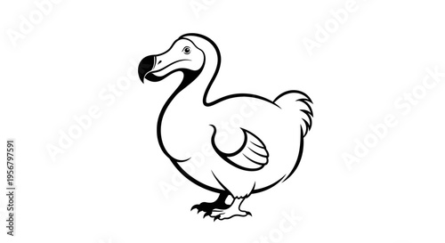 Charming dodo bird illustration, black and white line art drawing of an extinct avian species, isolated graphic element