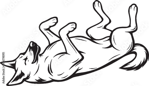 Belgian Malinois rolling on back playful pose black and white line art illustration