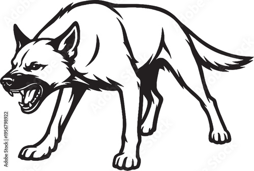 Belgian Malinois growling low guard stance black and white line art illustration