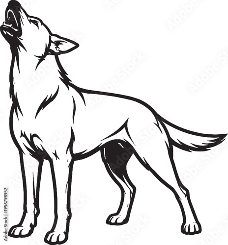 Belgian Malinois howling head up black and white line art illustration