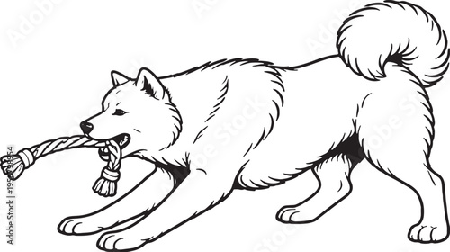 Akita Tugging Rope Pull Stance Black and White Line Art Illustration