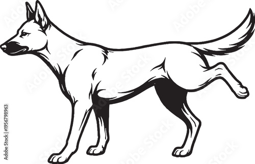 Belgian Malinois marking territory leg lift black and white line art illustration