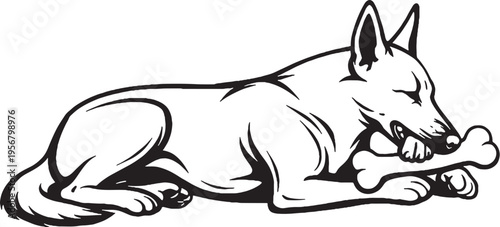 Belgian Malinois chewing bone lying down black and white line art illustration