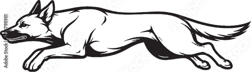 Belgian Malinois jumping mid air side view black and white line art illustration