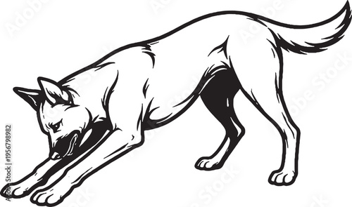 Belgian Malinois digging action black and white line art illustration