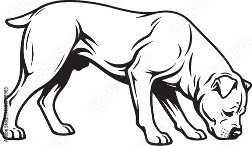 Belgian eating posture side view black and white illustration