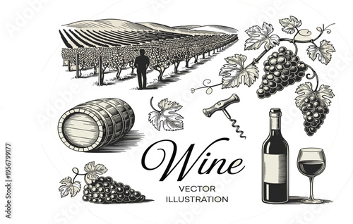 Vintage wine vector set featuring vineyard landscape, grape bunches, wooden barrel, bottle and corkscrew illustration