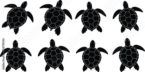 Set of swimming sea turtle silhouettes vector illustration isolated on white background, black marine reptile animal graphic for ocean nature design