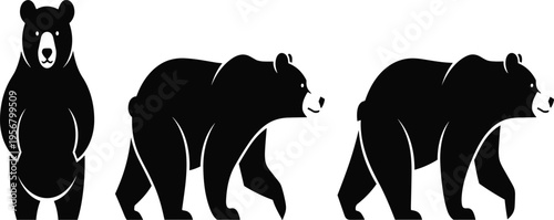 Set of three black bear silhouettes featuring standing and walking poses, wild grizzly animal icons isolated on white background, wildlife, nature.