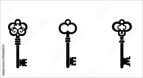 Collection of ornate vintage keys in black and white arranged on a white background