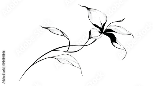 Elegant black and white stylized flower illustration, delicate swirling lines, abstract botanical art for decorative design.