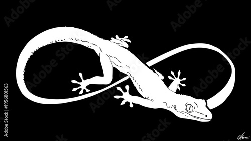 Monochromatic Gecko Infinity Symbol Illustration. Stylized White Lizard Forming an Endless Loop Design on Black Background.